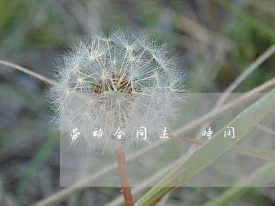 劳动合同法 时间 劳动合同法 时间